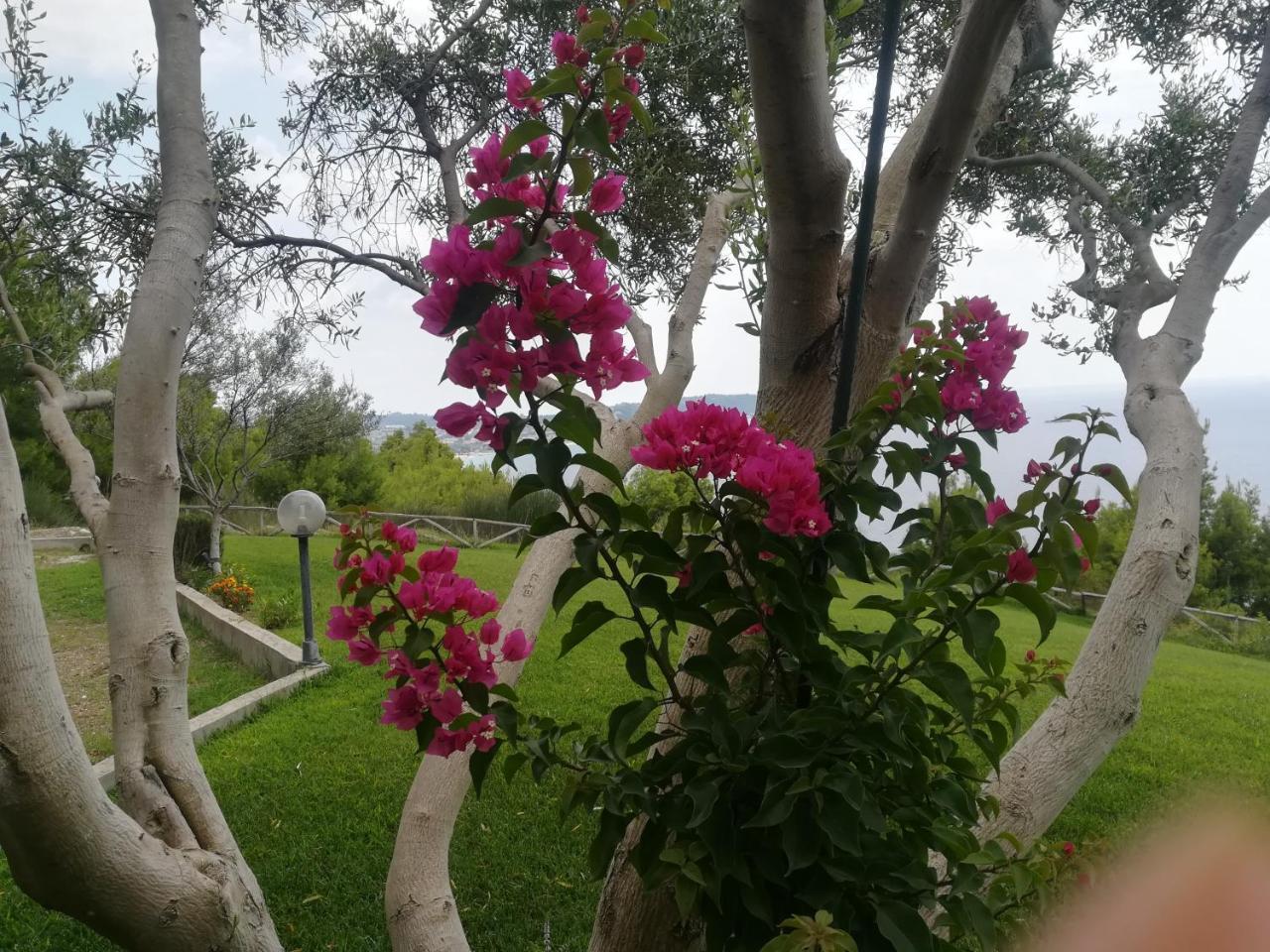 Aetofolia Stella Villas Φούρκα Εξωτερικό φωτογραφία